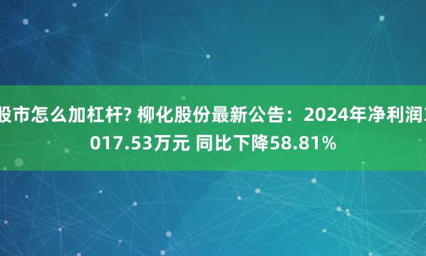 股市怎么加杠杆? 柳化股份最新公告：2024年净利润3017.53万元 同比下降58.81%