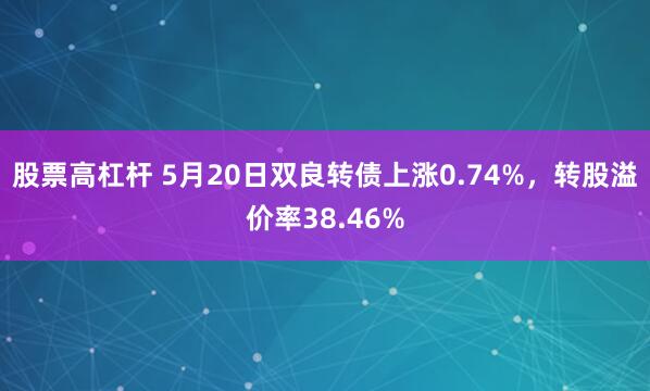 股票高杠杆 5月20日双良转债上涨0.74%，转股溢价率38.46%