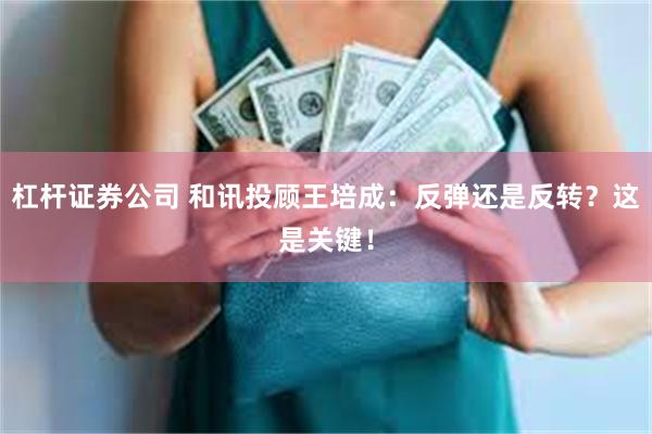 杠杆证券公司 和讯投顾王培成：反弹还是反转？这是关键！