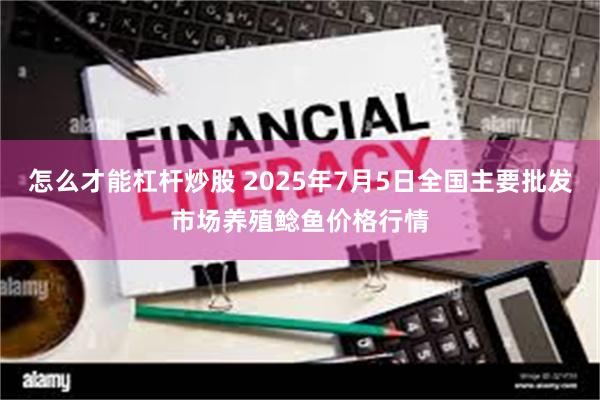 怎么才能杠杆炒股 2025年7月5日全国主要批发市场养殖鲶鱼价格行情