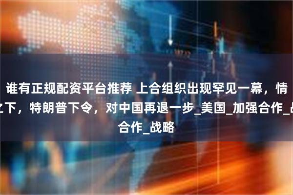 谁有正规配资平台推荐 上合组织出现罕见一幕，情急之下，特朗普下令，对中国再退一步_美国_加强合作_战略
