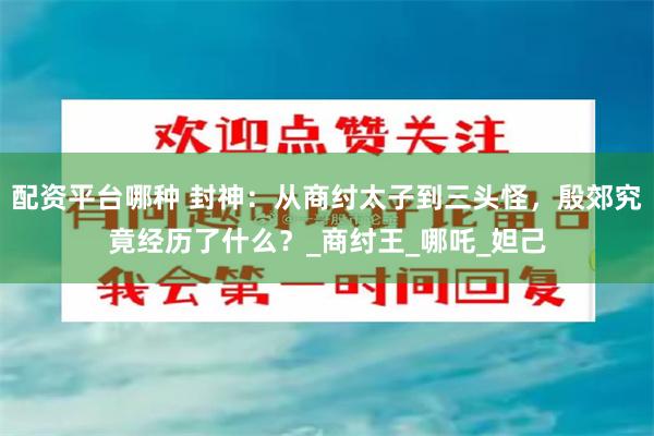 配资平台哪种 封神：从商纣太子到三头怪，殷郊究竟经历了什么？_商纣王_哪吒_妲己