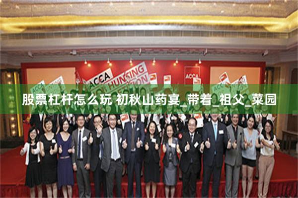 股票杠杆怎么玩 初秋山药宴_带着_祖父_菜园