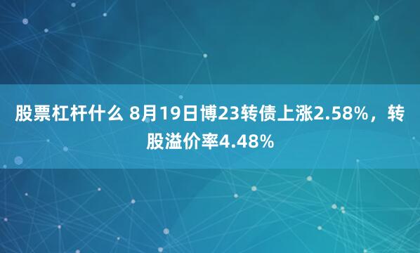 股票杠杆什么 8月19日博23转债上涨2.58%，转股溢价率4.48%
