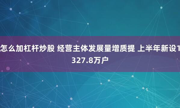 怎么加杠杆炒股 经营主体发展量增质提 上半年新设1327.8万户