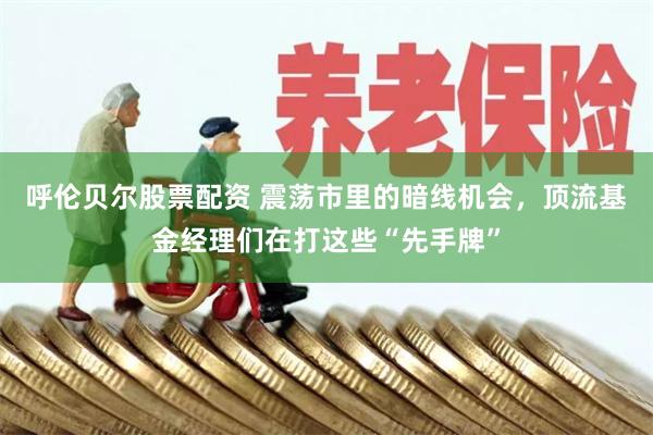 呼伦贝尔股票配资 震荡市里的暗线机会，顶流基金经理们在打这些“先手牌”