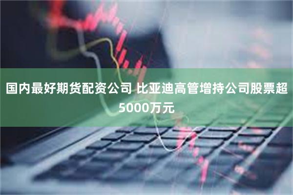 国内最好期货配资公司 比亚迪高管增持公司股票超5000万元