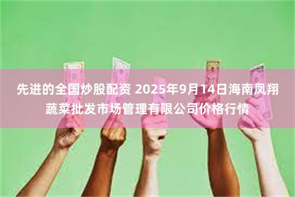 先进的全国炒股配资 2025年9月14日海南凤翔蔬菜批发市场管理有限公司价格行情