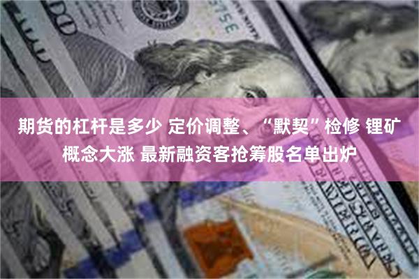 期货的杠杆是多少 定价调整、“默契”检修 锂矿概念大涨 最新融资客抢筹股名单出炉