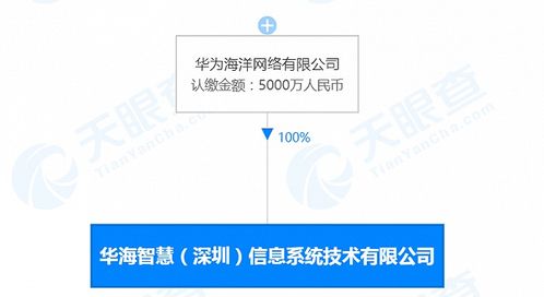華為海洋深圳新公司成立，深耕數據處理領域