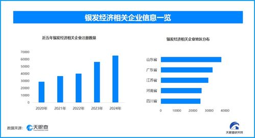 天眼新知 | 重陽探“銀潮” 2025養(yǎng)生養(yǎng)老產(chǎn)業(yè)的需求裂變與價值重構——信息系統(tǒng)集成服務的核心引擎
