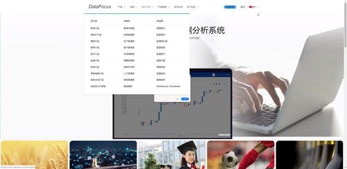 中國大數據與信息系統集成服務領域的領先企業概覽